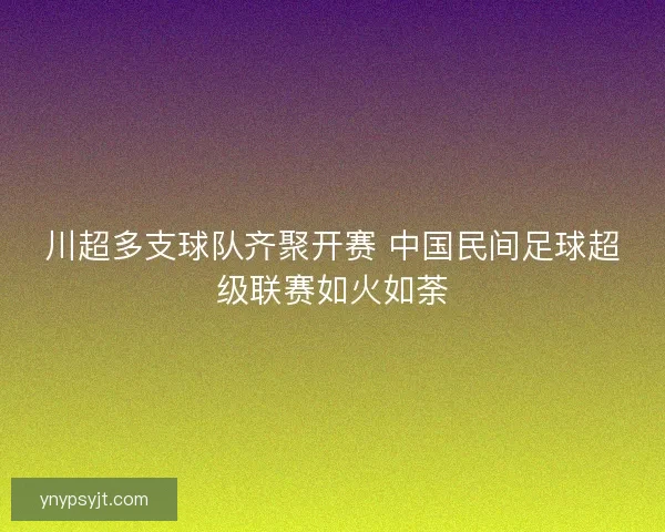 川超多支球队齐聚开赛 中国民间足球超级联赛如火如荼