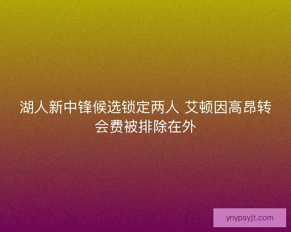 湖人新中锋候选锁定两人 艾顿因高昂转会费被排除在外 湖人新中锋候选锁定两人 艾顿因高昂转会费被排除在外